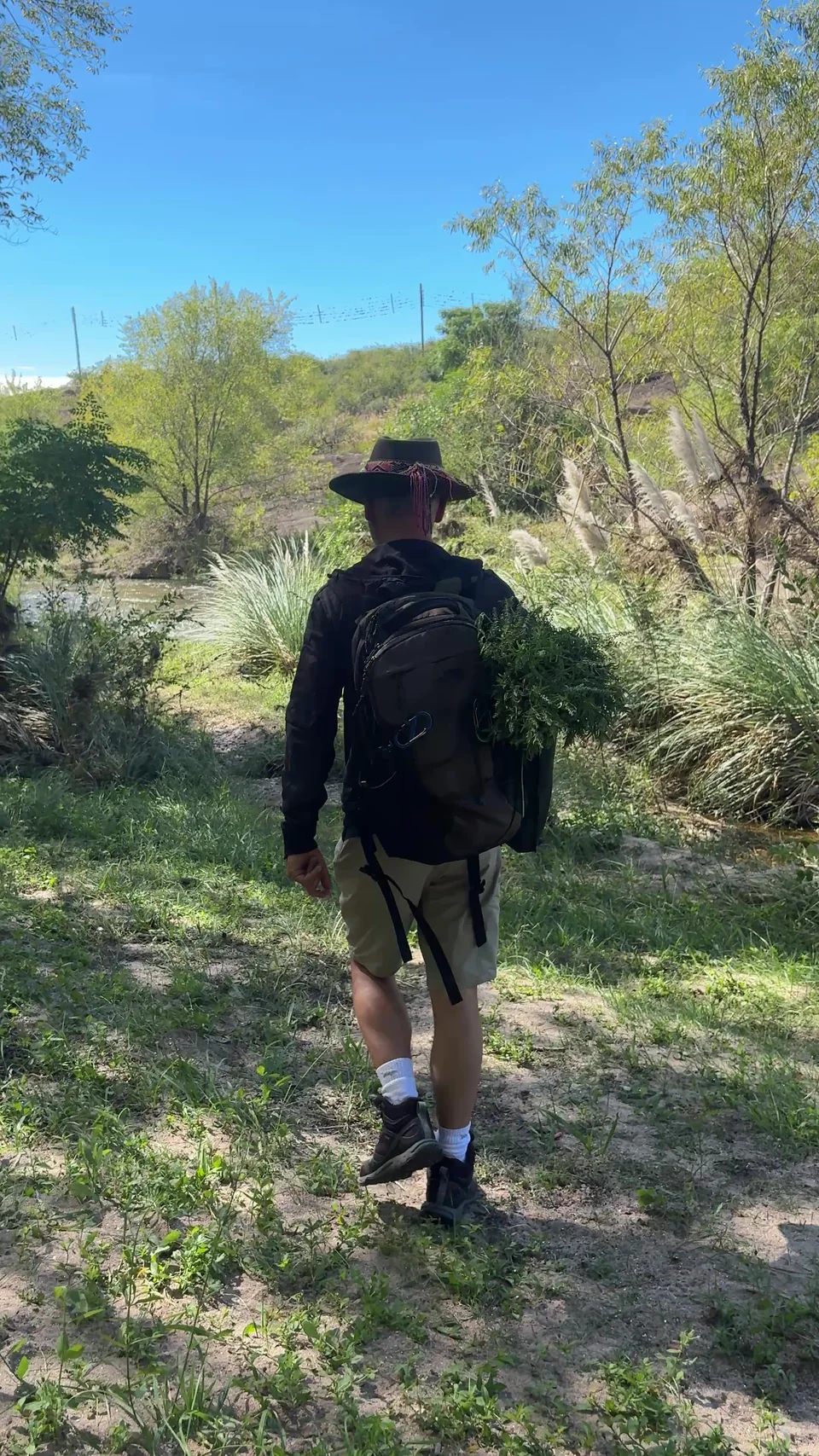 Camino de tierra en la montaña, en medio de vegetación y piedras, como símbolo de inicio y recorrido.