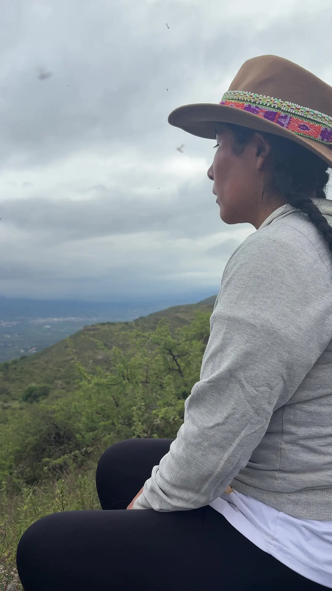 Leonarda contemplando el paisaje